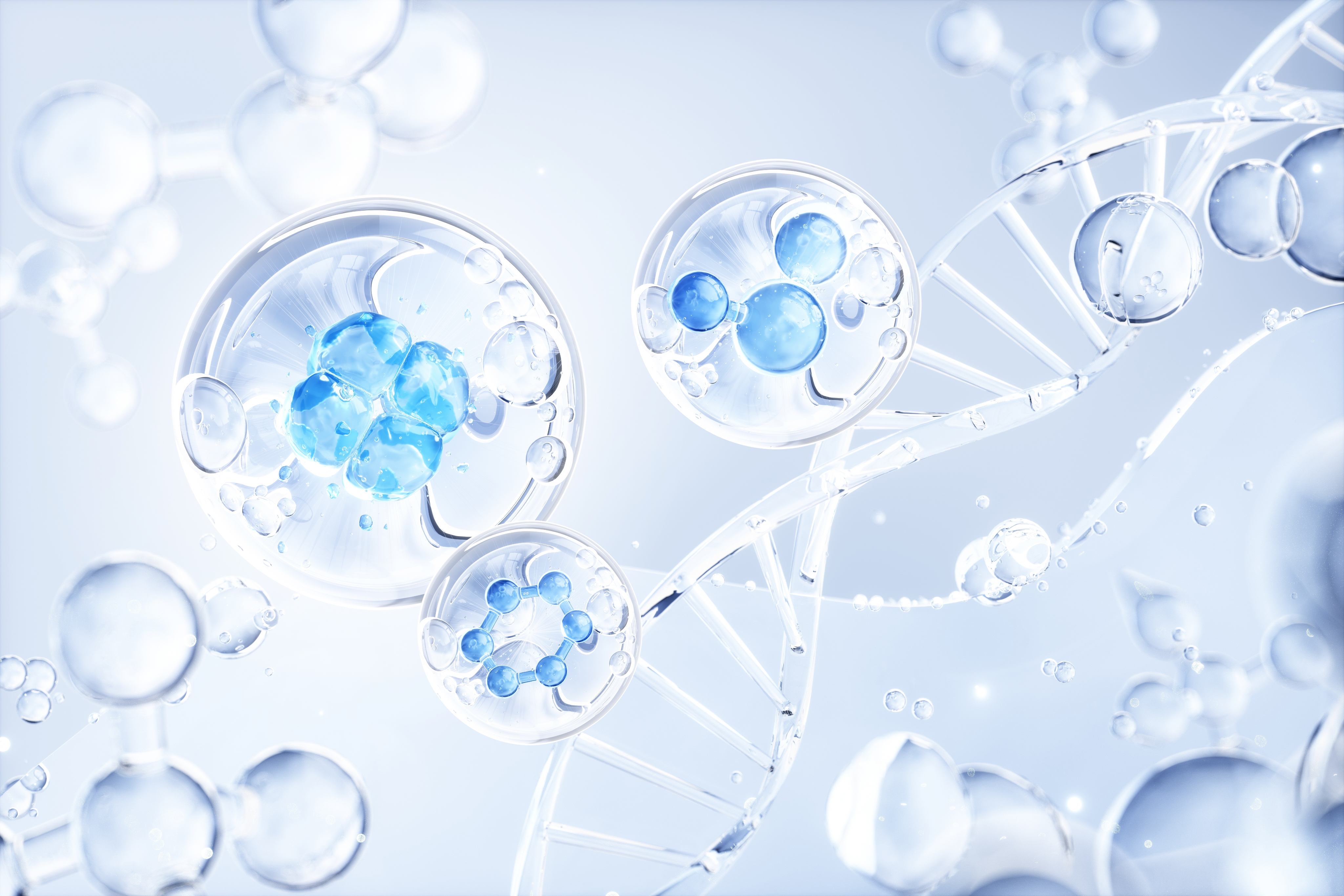 shutterstock_2407323711 1